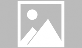 娱乐圈吃瓜双男主小说,瓜田里的甜蜜邂逅